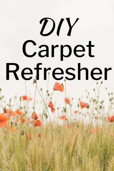 DIY Carpet Refresher