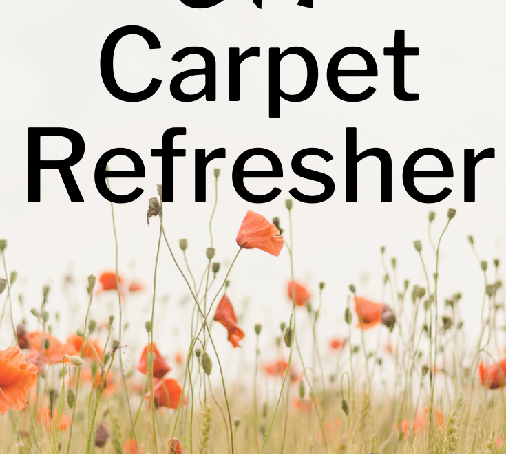 DIY Carpet Refresher
