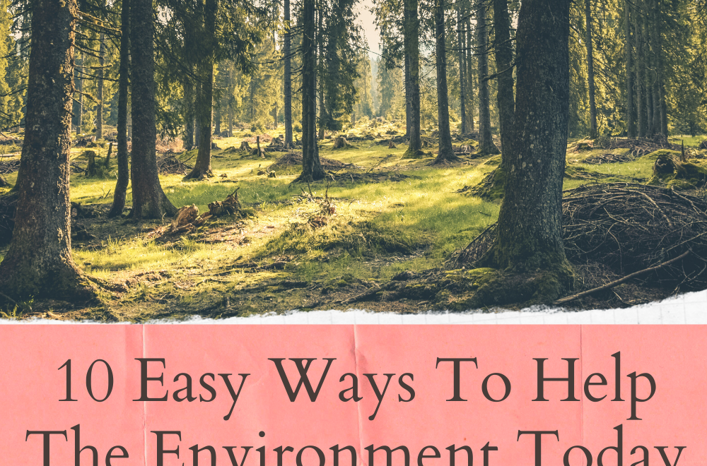 10 Ways To Help The Environment Today