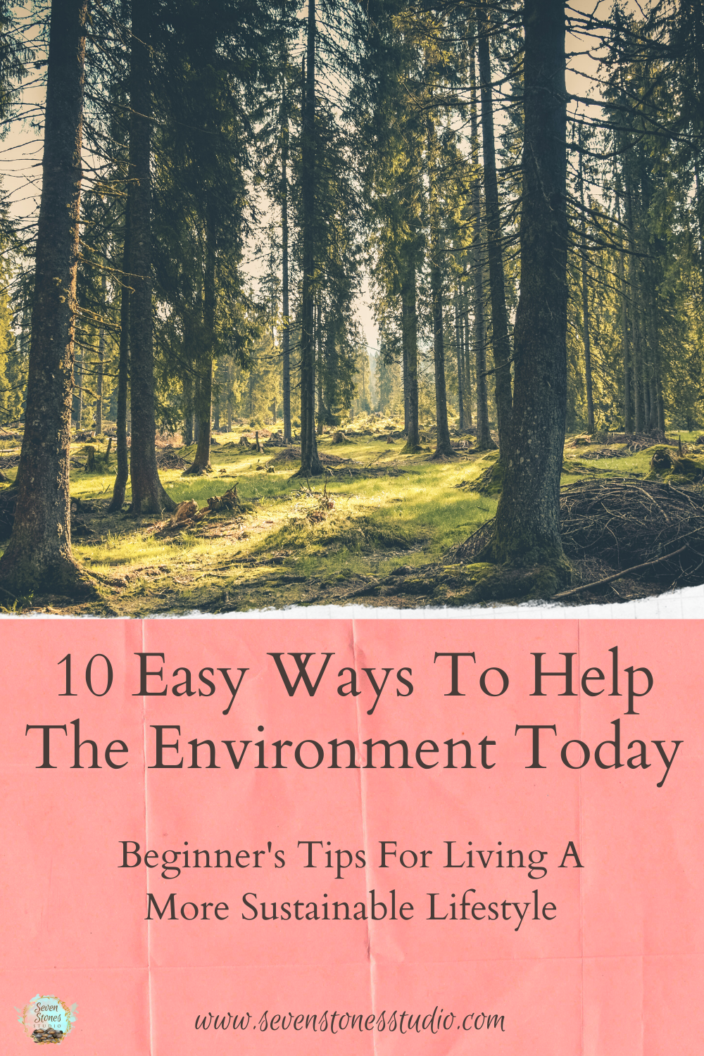 10 Ways To Help The Environment Today